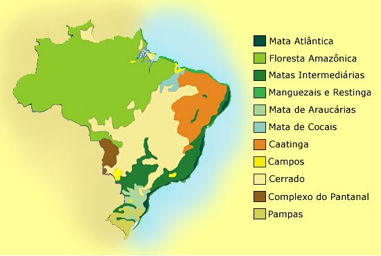 mapa do brasil por regioes. Vegetação do Brasil e sua